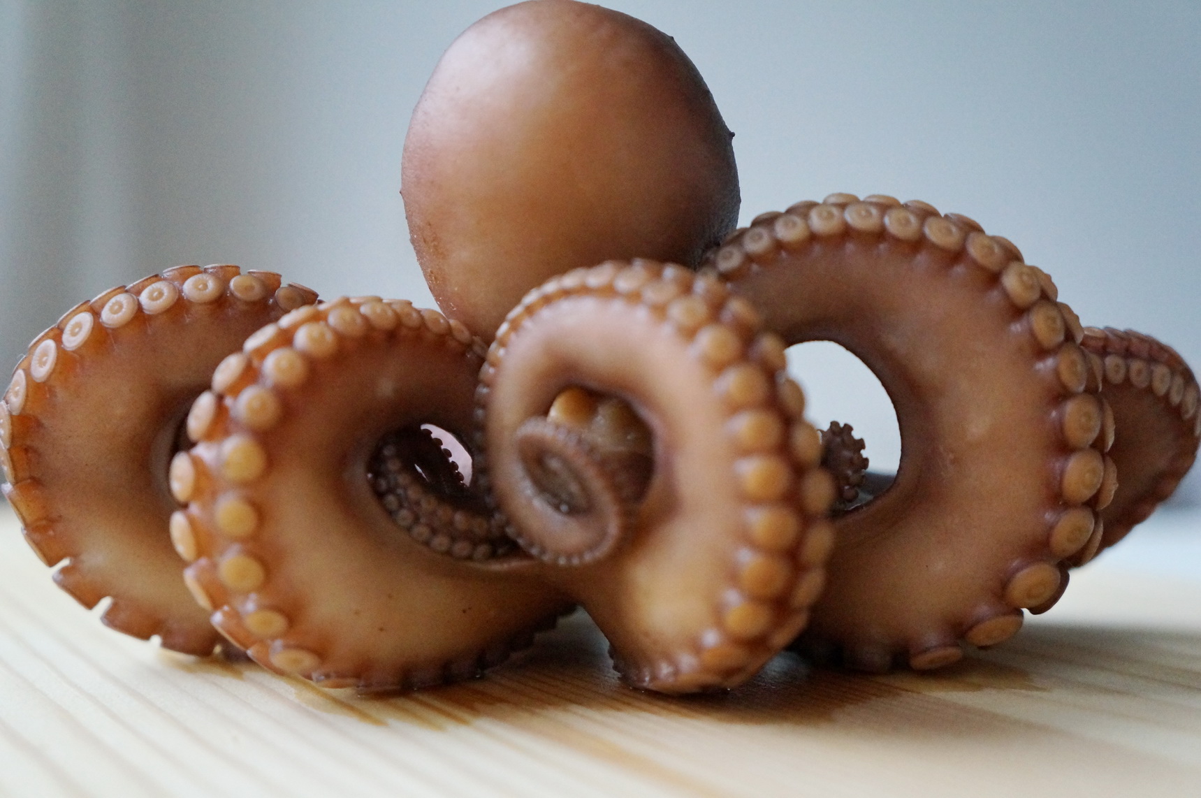 Octopus sushi discount